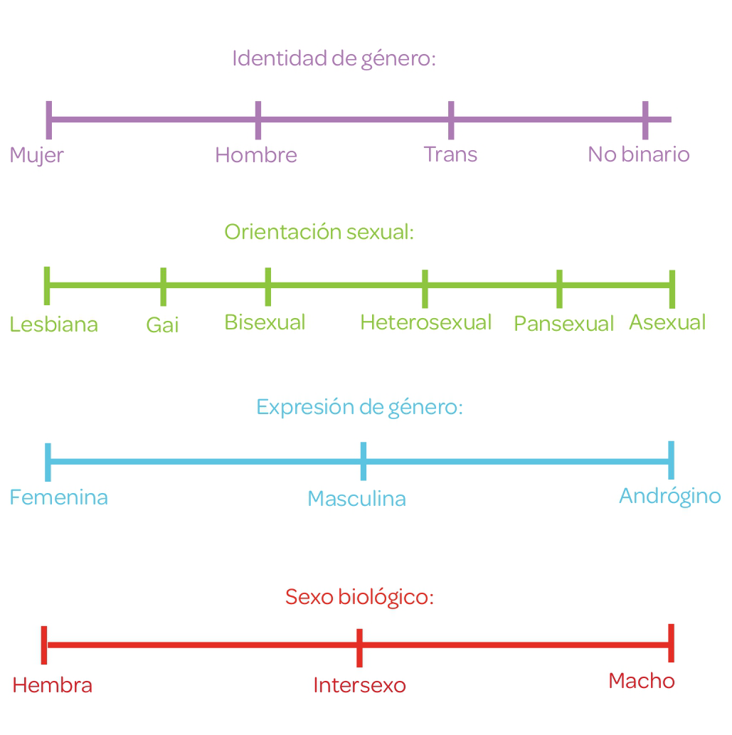 cap4-diagramaGenSexOr-b